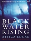 Black Water Rising (eBook)